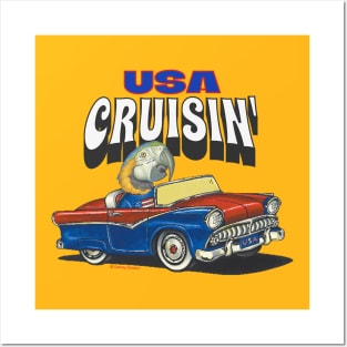 Funny and cute African blue and gold Macaw Bird driving a classic car cruising the USA Posters and Art